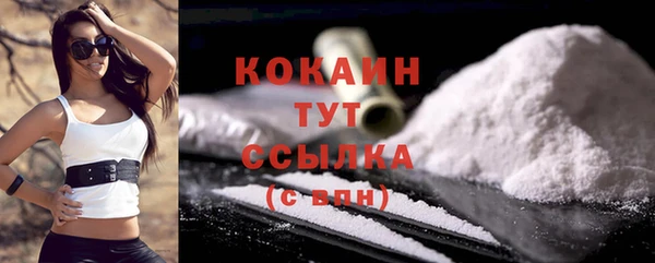 дмт Богданович