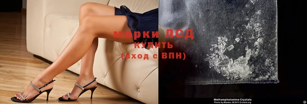 дмт Богданович