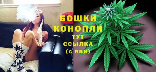 дмт Богданович