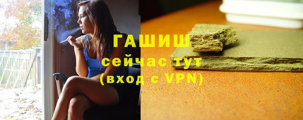 дмт Богданович