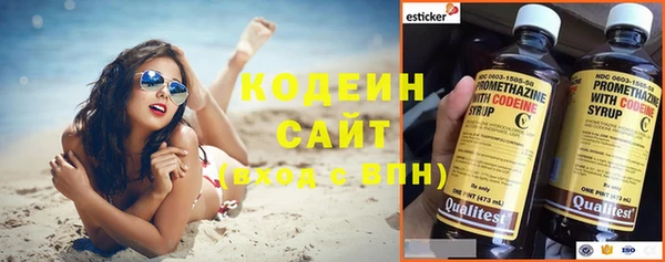 дмт Богданович