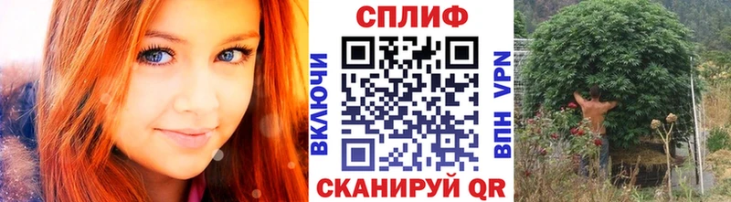 Шишки марихуана Bruce Banner  shop формула  Дивногорск  наркошоп 